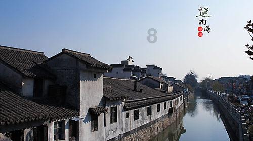 帮我看看这是什么猫？游戏画面